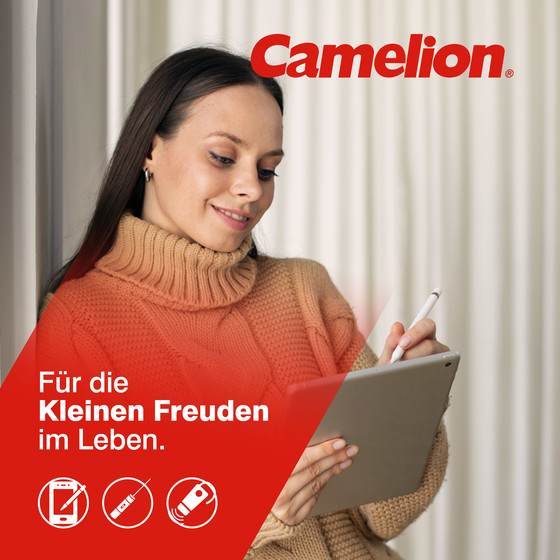 CAMELION LR61 / AAAA / BP2