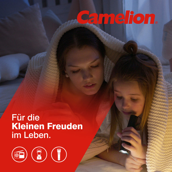 CAMELION Plus Alkaline LR14 / C / SP2