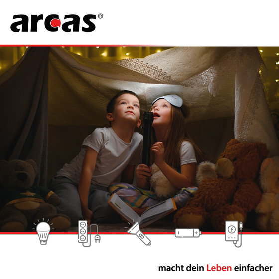 ARCAS LR20 / D / Mono / 1,5V - BP2