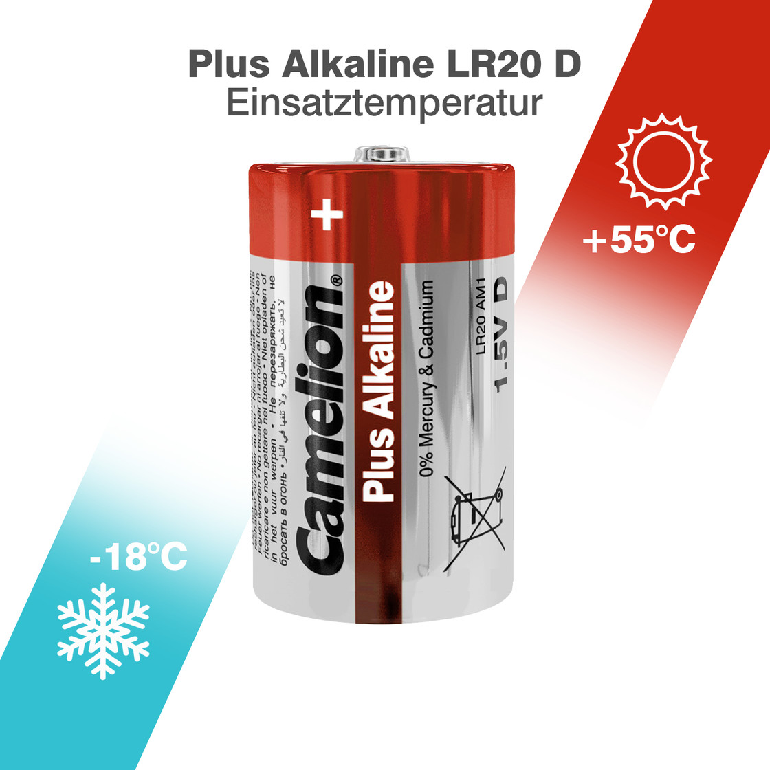 Alkaline D-cell battery, 2-pack (EG-BA-LR20-01)