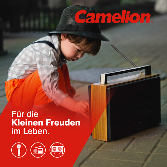 CAMELION Plus Alkaline LR20 / D / BP2