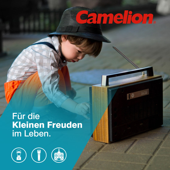 CAMELION Digi Alkaline LR20 / Mono / BP2