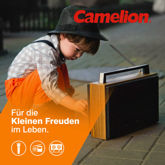 CAMELION Ni-MH HR20 D 2500mA
BP2